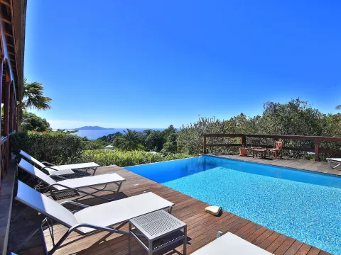 Jardin Malanga