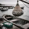 Un matin au port de Sainte-Rose avec les pêcheurs de balaou