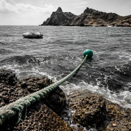 Plongée à la Pointe des Châteaux : la dérive que personne n'annonce dans les brochures