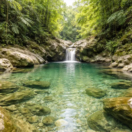 Saut d'Acomat : le bain naturel que les guides ne mentionnent pas en saison sèche