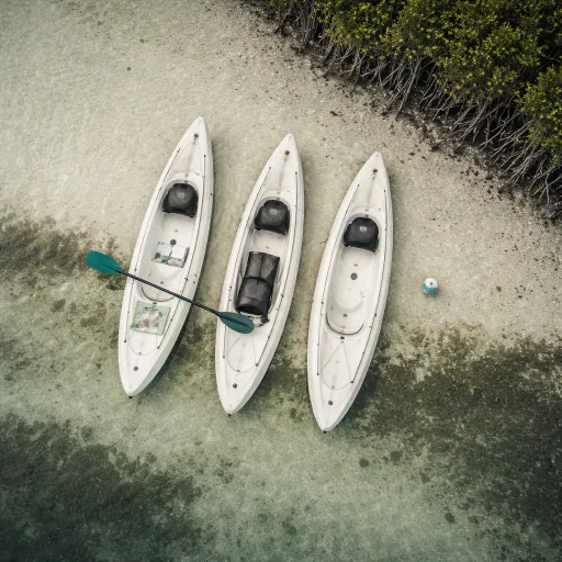 Kayak dans le Grand Cul-de-Sac Marin : lire la couleur de l'eau pour trouver la mangrove