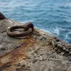 Îlet Gosier : une journée d’évasion depuis Le Gosier en Guadeloupe