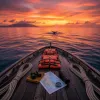 Baleine Guadeloupe : l’expérience d’observation la plus émouvante des Antilles françaises
